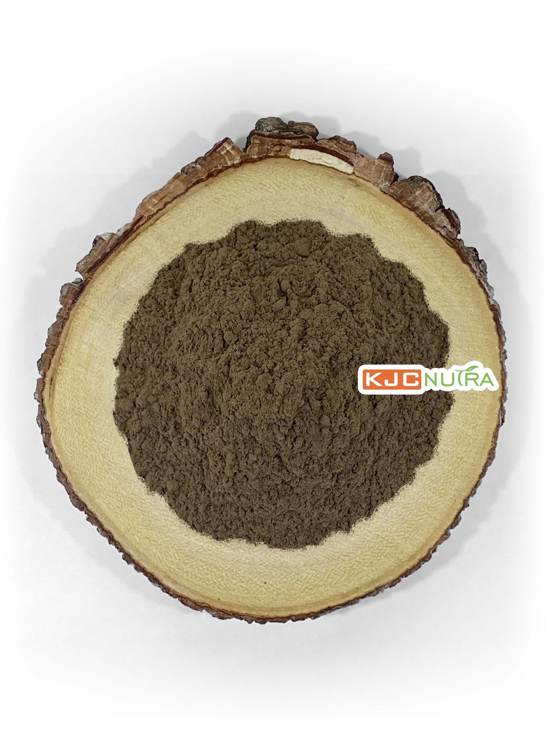 Astragalus-Root PE 5-1-AS170109-2