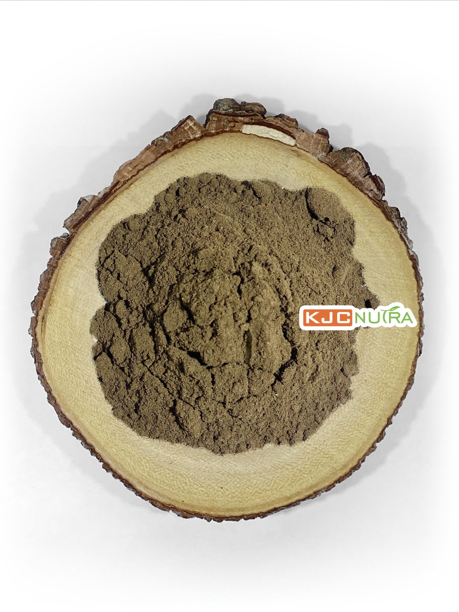 Ginkgo-powder-1-CYX-A802289