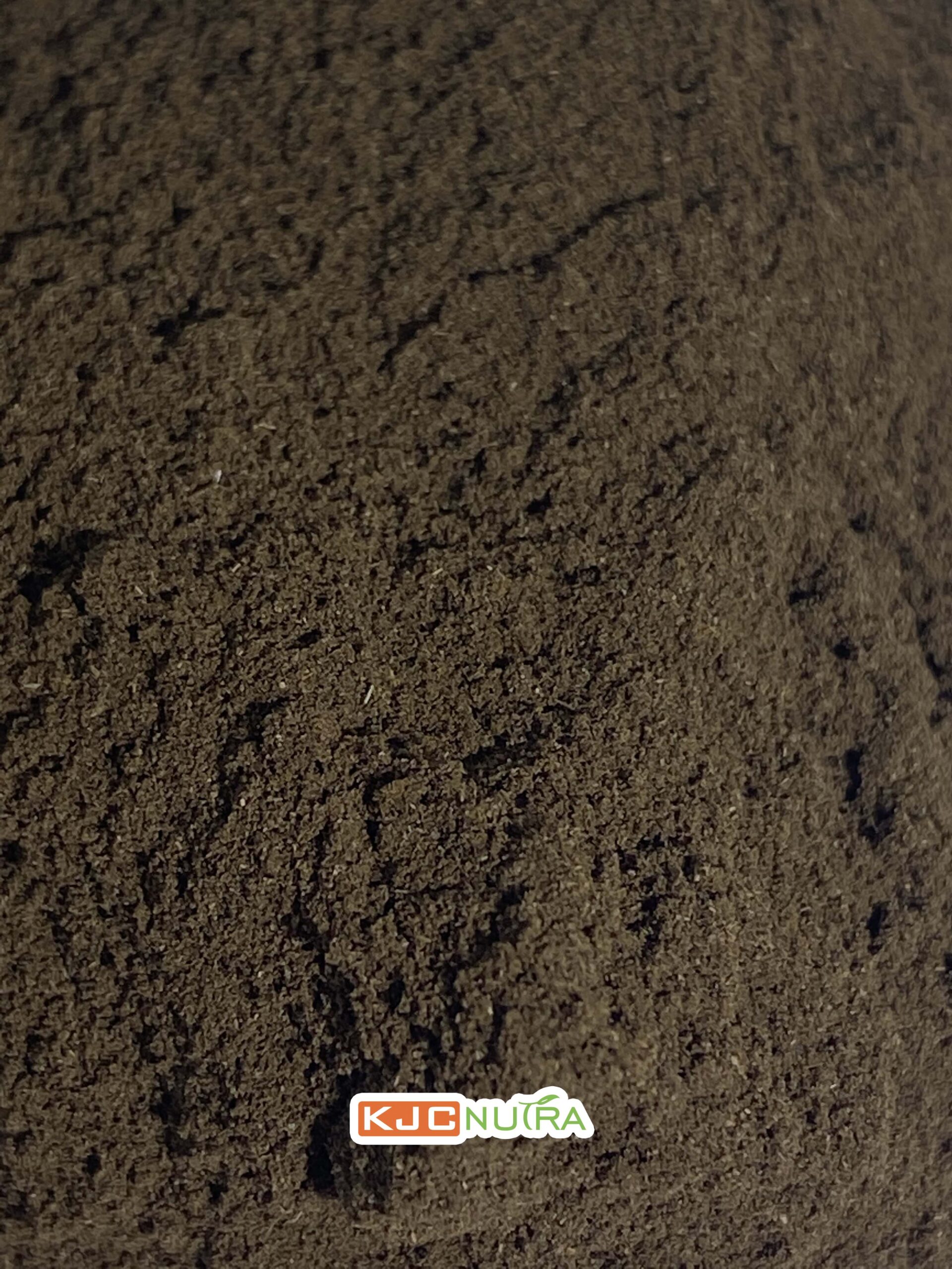 Ginkgo-powder-3