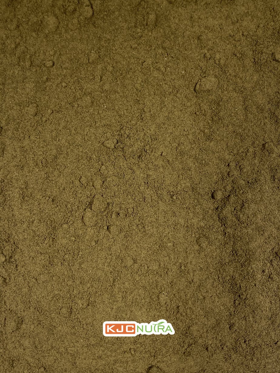 papaya-leaf-powder-3