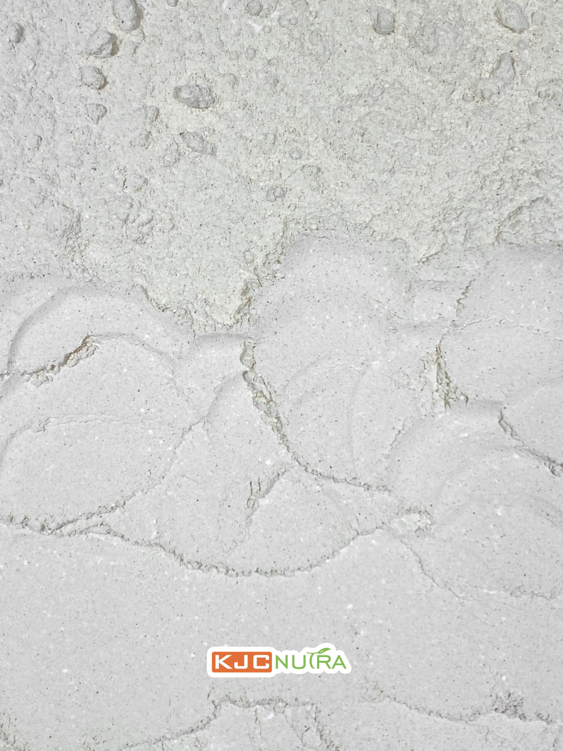 shark-cartilage-powder-3