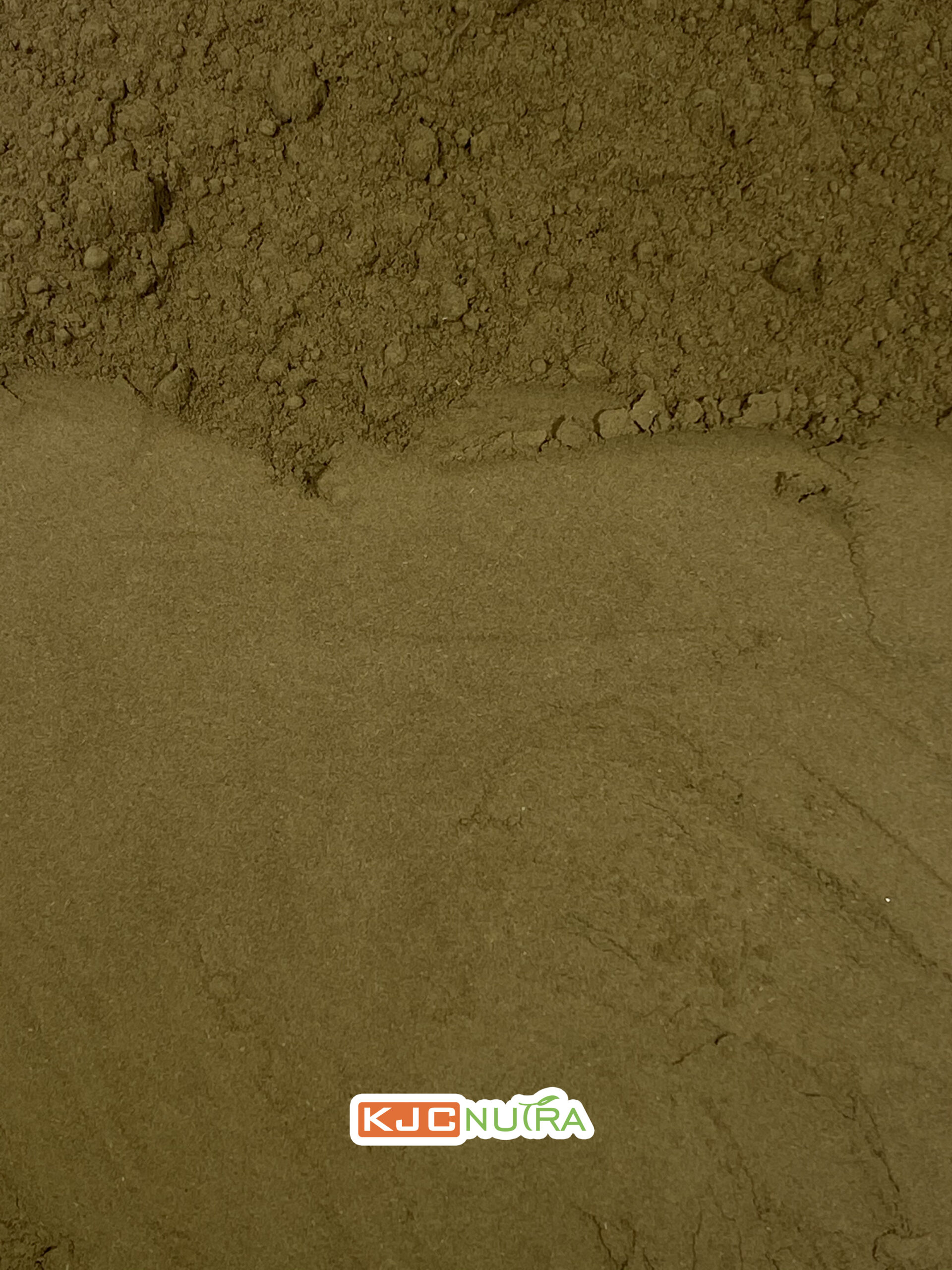 Moringa-oleifera-leaf-powder-3