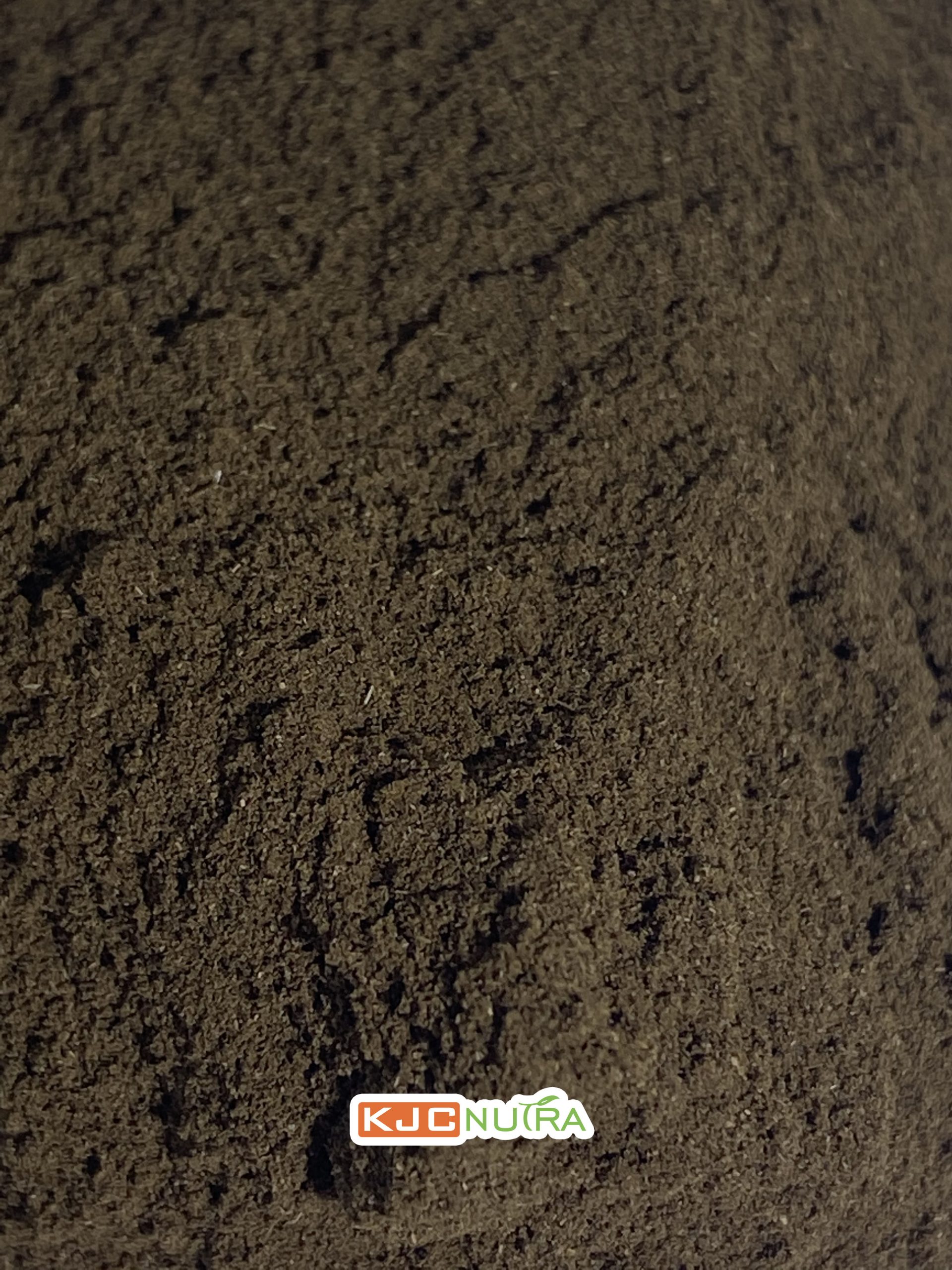 Saw-palmetto-berries-power-3