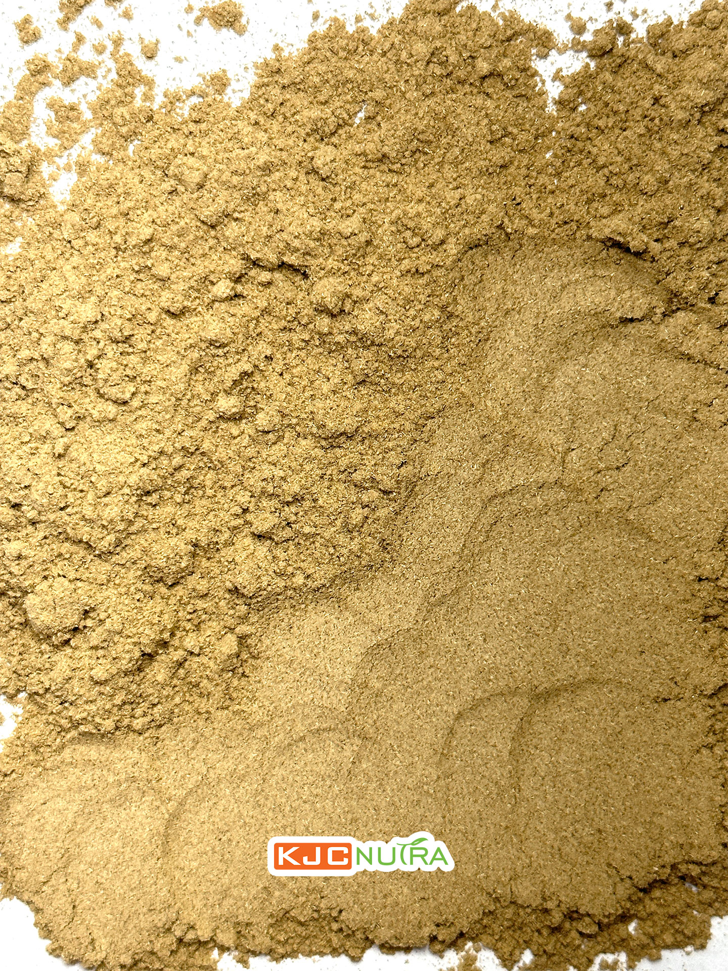 Horehound-Herb-Powder-Lot-2102502-web-3